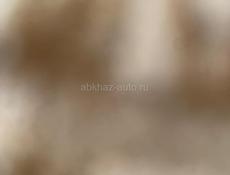 Ризина 265/30/19r