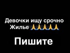 Срочно сниму жилье 