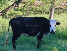 Продается 