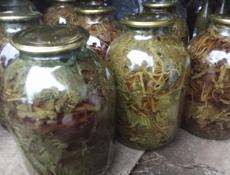 Продаю калючки