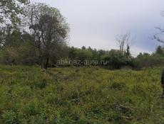 2 ГЕКТАРА В АДЗЮБЖЕ 250 м от моря