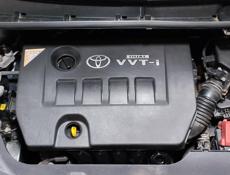 Toyota Ipsum