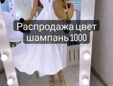 Женская одежда 