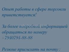 Торговый представитель в СУХУМСКИЙ МОЛОЧНЫЙ ЗАВОД