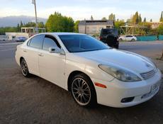 Toyota Windom