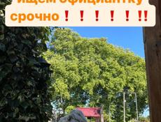 Ищем официантку на белую 