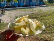 Сдам в аренду готовый бизнес три гостевых домика