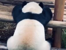 Ищу работу