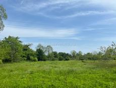 75 соток Бабушара