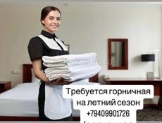 Вакансия 