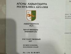 Профилактика. Граница