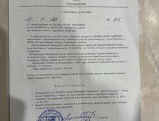 Профилактика. Граница