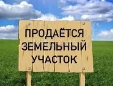 25 соток 