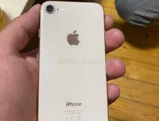 iPhone 8 