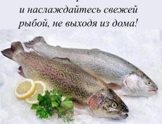 Доставка и услуги такси 
