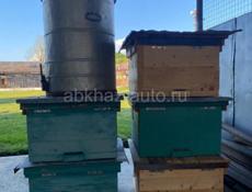 Продам ящики и медогонку