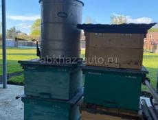 Продам ящики и медогонку