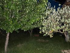Срочно продается 50 соток Мачарка