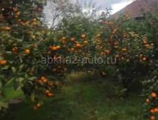 Продаётся 