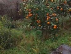 Продаётся 