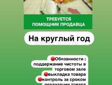 Помощник продавца 