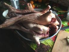 продаются духовочные поросята свежие чищеные..