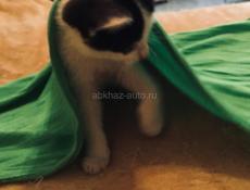 Умная от природы ! 