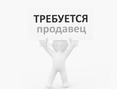 Продавец (п.Ачадара)