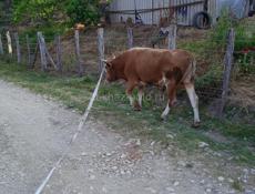 Продается 