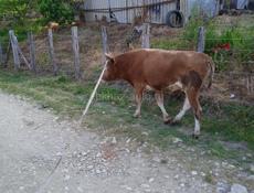 Продается 