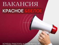 Требуются кассиры 