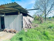  Дом с садом в деревне Атара Армянская 