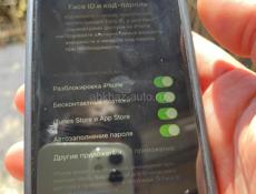 iPhone 12 mini 