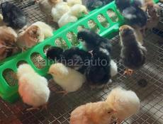 Продам 
