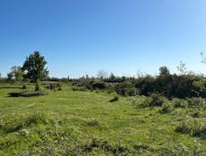 Участок 50 соток Аэропорт 