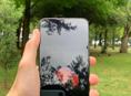 Xiaomi 13t/256/12