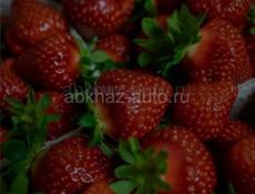 Клубника 🍓 