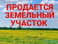 Срочно