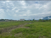 Земельный участок  в Алахадзе