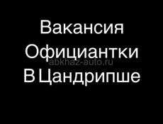 Работа в Цандрипше 