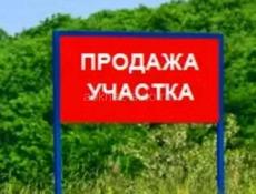 50 соток 