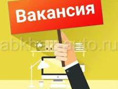 Вакансия 