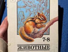 Только писать 