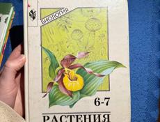 Только писать 