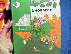 Только писать 