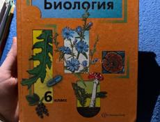 Только писать 