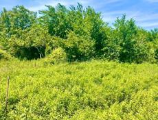УЧАСТОК 6 СОТОК В СУХУМЕ, РАЙОН МАЯК 200 М ОТ МОРЯ