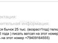 Продажа бычка и телки