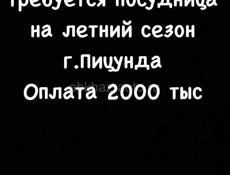 Требуется посудница 