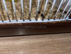 ПРОДАМ ХОМЯКА С КЛЕТКОЙ!‼️‼️‼️‼️